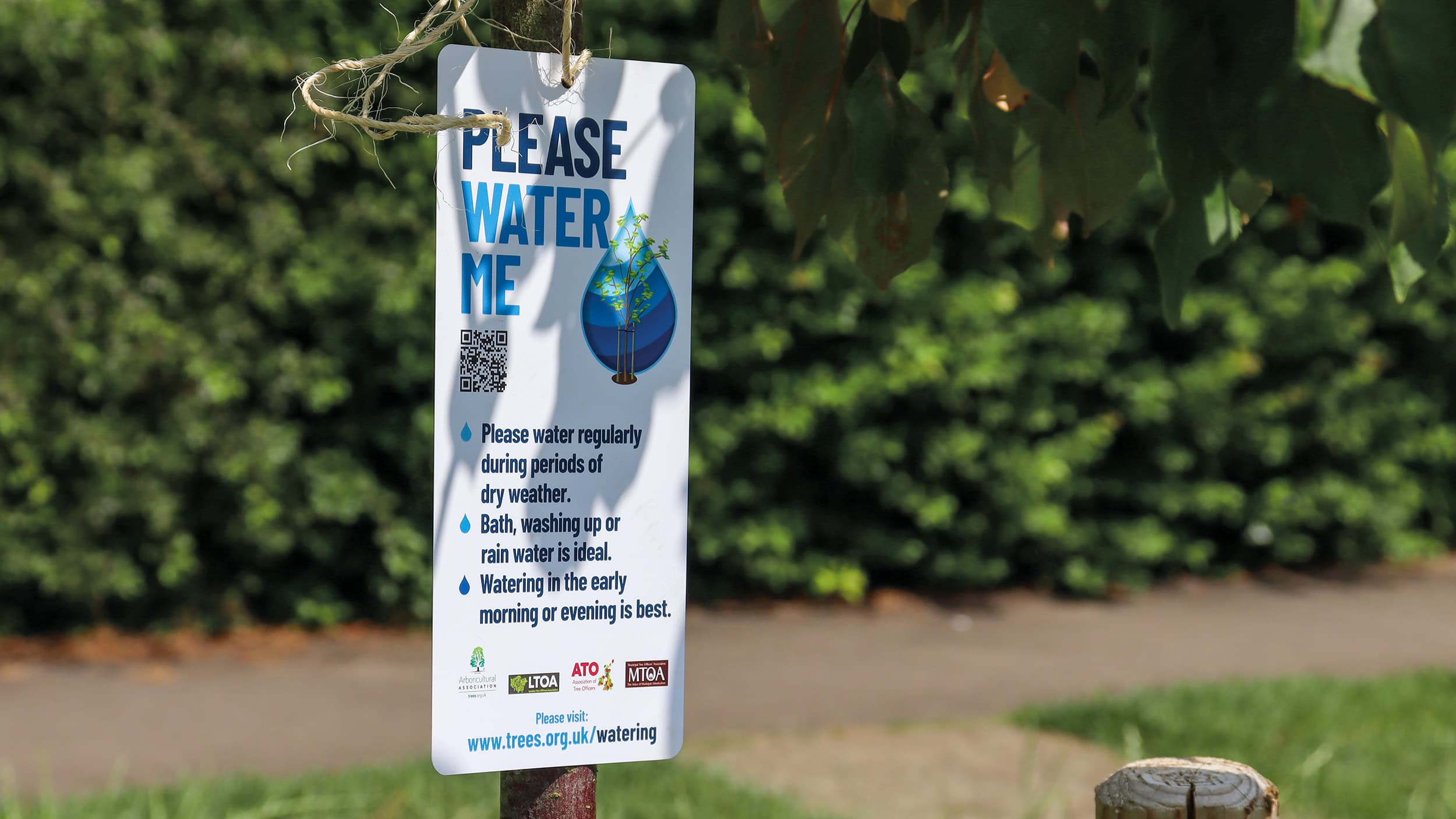 Arboricultural Association Sustainable Water Management Trees are